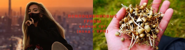 Альфа ПВП Алзамай