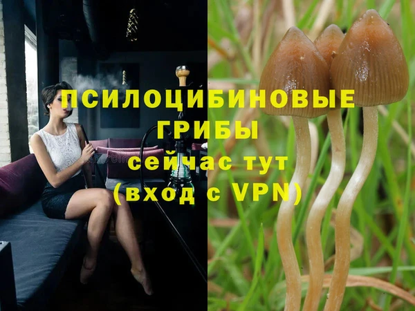 COCAINE Горняк