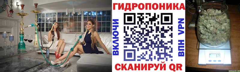 Бошки марихуана Ganja  кракен как зайти  Оса  закладка 